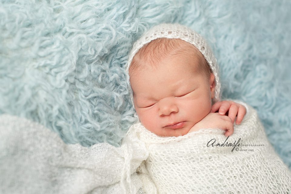 fbfusioneditedIMG_3998 copy