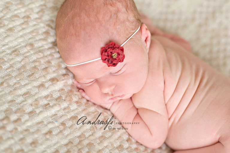 fbeditedIMG_6227 copy