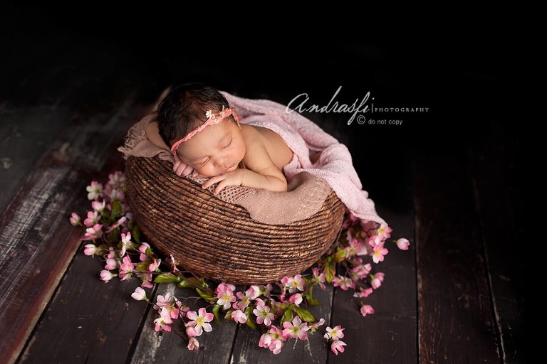 fbeditedIMG_1843 copy