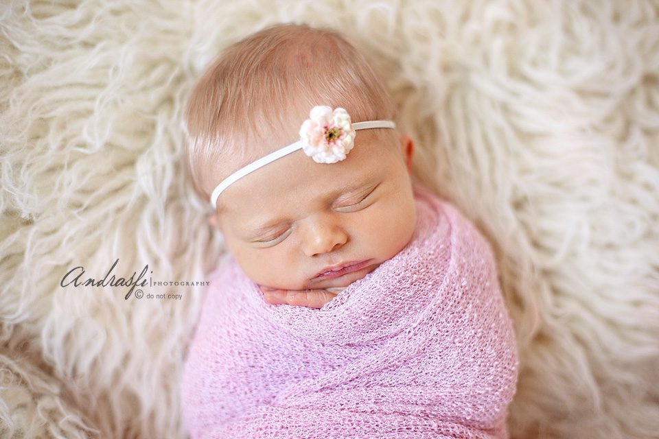 fbfusioneditedIMG_9161 copy