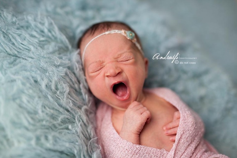 Minneapolis Newborn Photographer || Andrasfi Photography 0 (1)