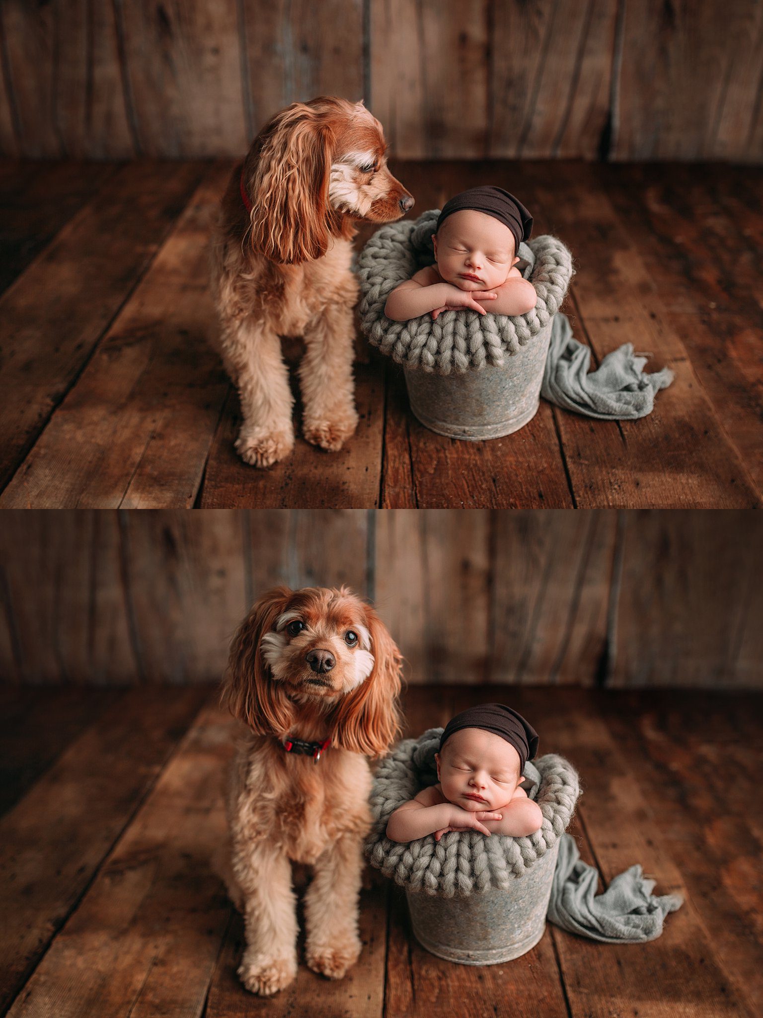 Minneapolis Newborn Photographer 004